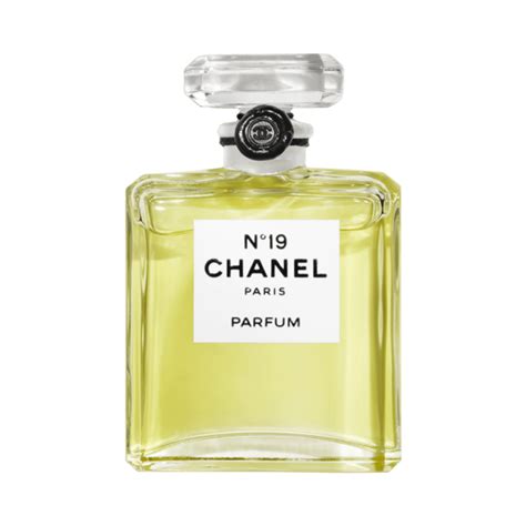 chanel no 19 perfume review.